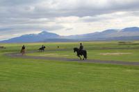 Pferdehof Flugumyri - anschauliche Demonstration