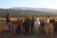 Reitausflug Islandpferde