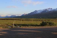 Reitausflug Islandpferde