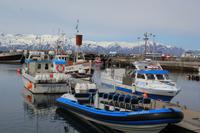 Fischerstadt Húsavik