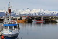 Fischerstadt Húsavik