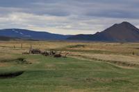 Bergbauernhof Mödvudalur