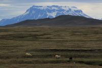 Bergbauernhof Mödvudalur - 