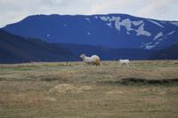 Bergbauernhof Mödvudalur