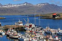 Mittagspause in Djúpivogur