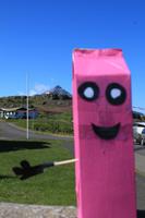 Mittagspause in Djúpivogur