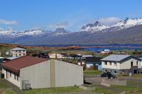 Mittagspause in Djúpivogur