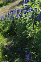 wunderschönes Island!