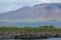 Papageientaucherinsel