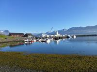 kleiner Fischereihafen in Djupivogur