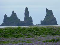 ... im Land der Trolle!