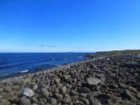 Auf der Suche nach Strandgut