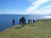 Wir suchen Papageintaucher