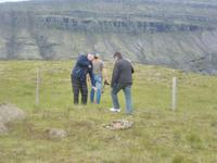 Auf der Suche nach dem Rentier