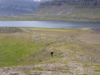 Auf der Suche nach dem Rentier