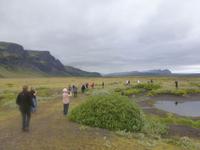 Auf der Suche nach dem Weidenröschen