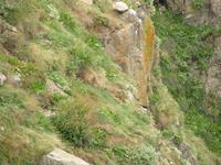 ... und fliegen sogleich davon.