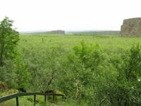 Landschaft in Asbyrgi