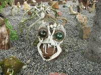 Kuriositäten in Petras Steinhaus