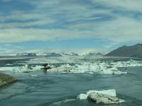 Treibende Eisschollen