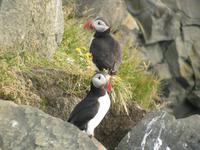 Zu zweit ist es viel schöner