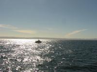 Boot in der glitzernden Bucht