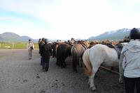 Reitausflug am Eyjafjördur