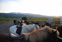 Reitausflug am Eyjafjördur