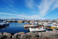 Hafen von Husavik