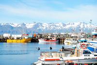 Hafen von Husavik