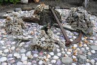 Petras Steinhaus in Stodvarfjördur