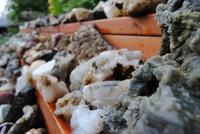 Petras Steinhaus in Stodvarfjördur