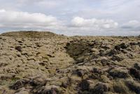 Lavafelder bei Skaftárhreppur