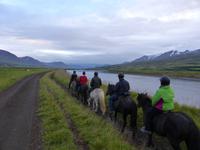 Ausritt auf Island-Pferden