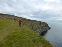 Stopp an einem Vogel-Felsen
