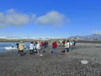an der Mündung der Gletscherlagune Jökulsárlòn ins Meer