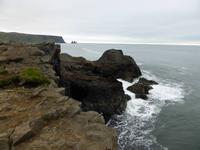 Stopp bei den Papageientauchern auf der Vogelinsel Dyrhólaey