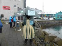 Ankunft am Hafen von Reykjavik
