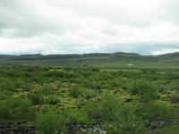 Auf dem Weg in den Norden