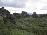 Lavagestein im Myvatngebiet