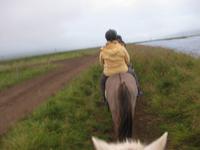 Reitausflug mit Islandpferden