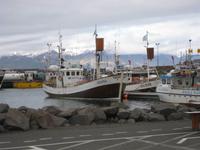 Im Hafen von Husavik