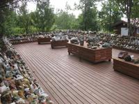 ... die Steinsammlung