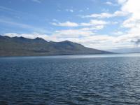 Ostfjorde - Am Berufjördur