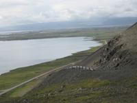 Südküste - Stopp an der alten Ringstraße kurz vor Höfn  