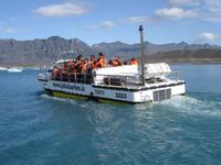 Bootsfahrt auf der Gletscherlagune