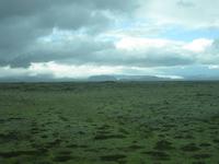 Blick aus dem Bus auf der Fahrt nach Vik
