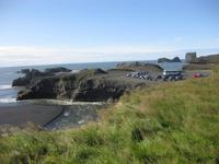 Dyrholaey - Islands Südkap