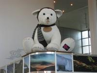 Der Eisbär grüßt uns