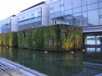 Das Rathaus von Reykjavik